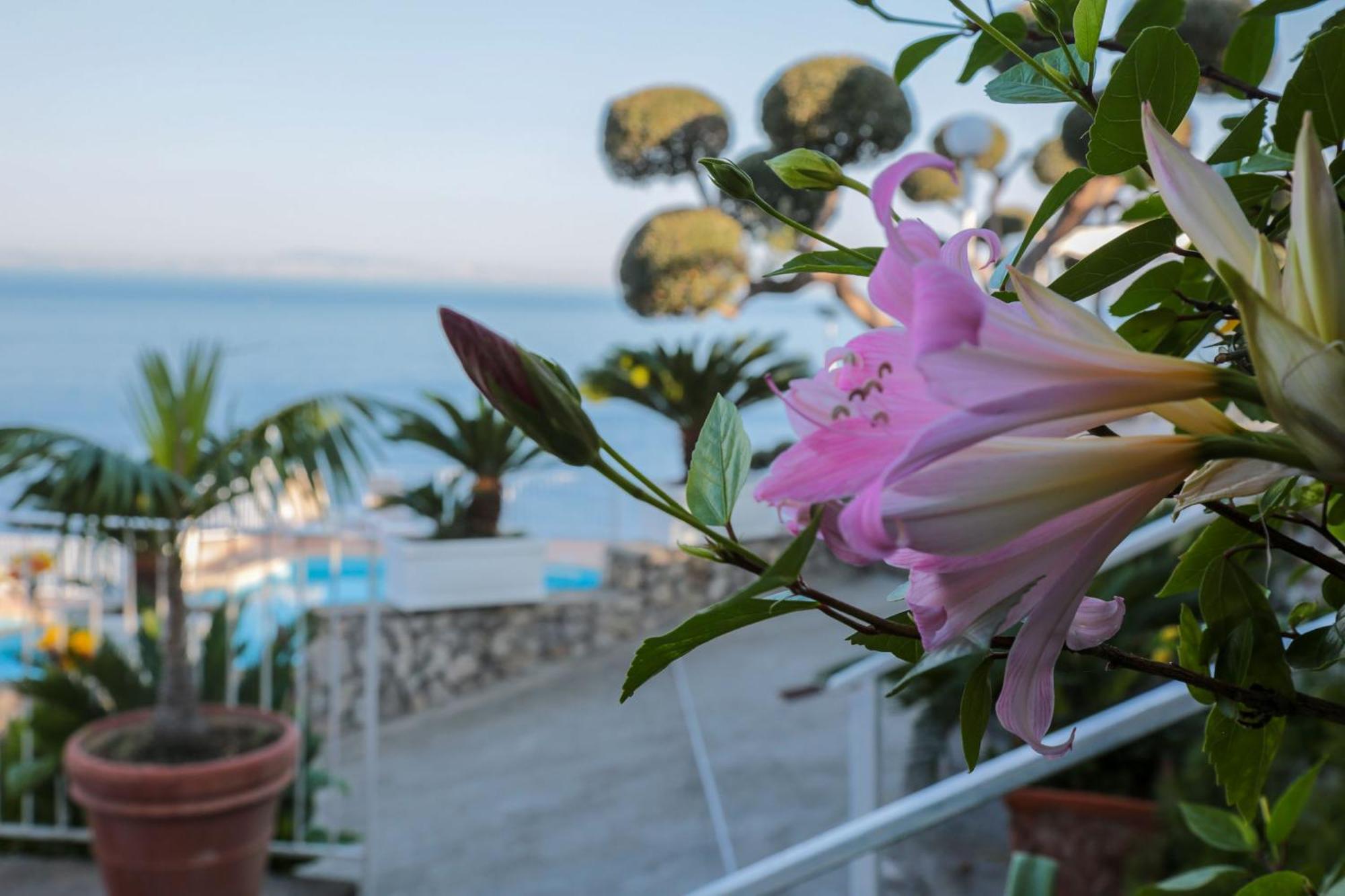 Hotel Villa Lubrense Sorrento Massa Lubrense Eksteriør billede